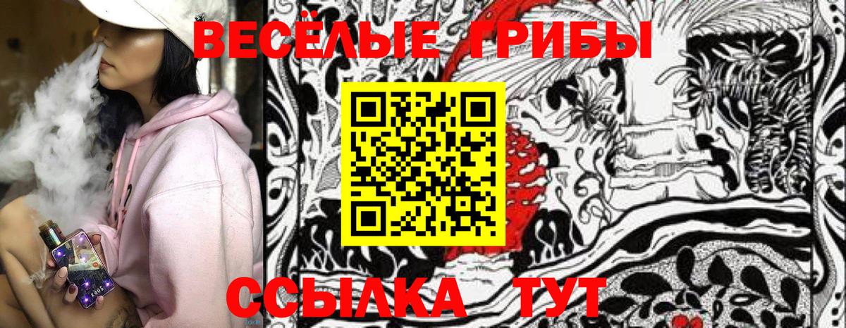 Псилоцибиновые грибы Psilocybe Армавир